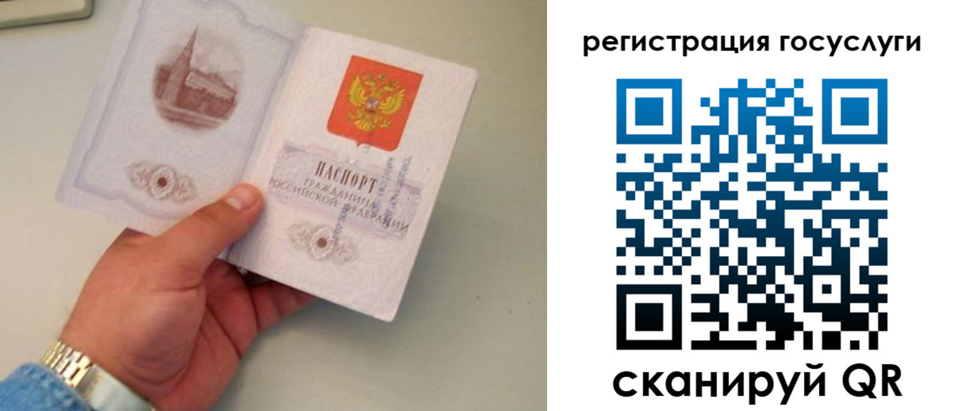 прописка регистрация в Кингисеппе
